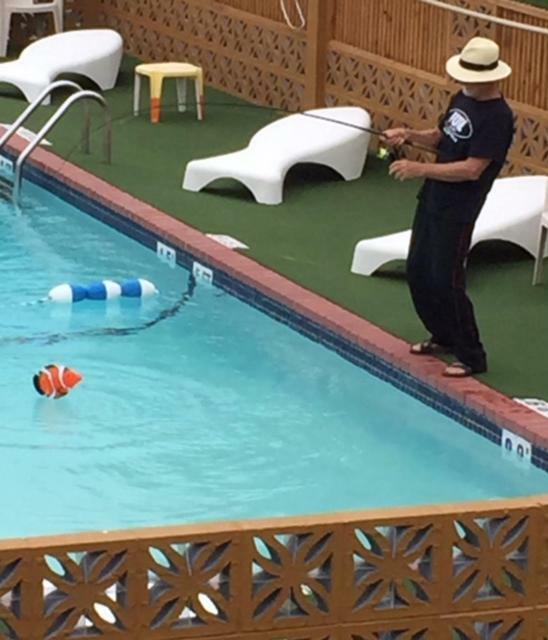 סאות' פאדרה איילנד South Beach Inn Beach Motel מראה חיצוני תמונה